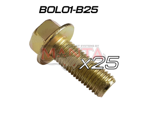 (Pack 25) M10 x 1.25 x 25mm x 14mm Head (Toyota 1HZ Extractor Bolt)5.0L Mustang Extractor Bolt