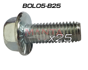 (Pack 25) 14mm Head 25mm x 10mm x 1.5p (Nissan Patrol, D22, Falcon Extractor Bolt)
