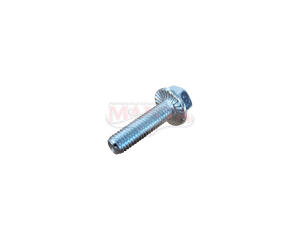 M8 x 1.25p x 30mm, 8.8 Flange Head, Serrated Silver Zinc Extractor Bolt. Max Torque 15.5 Nm